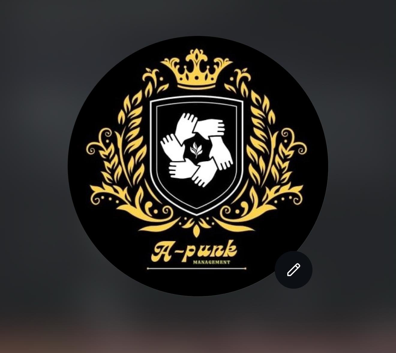 Logo APUNK MANAGEMENT
