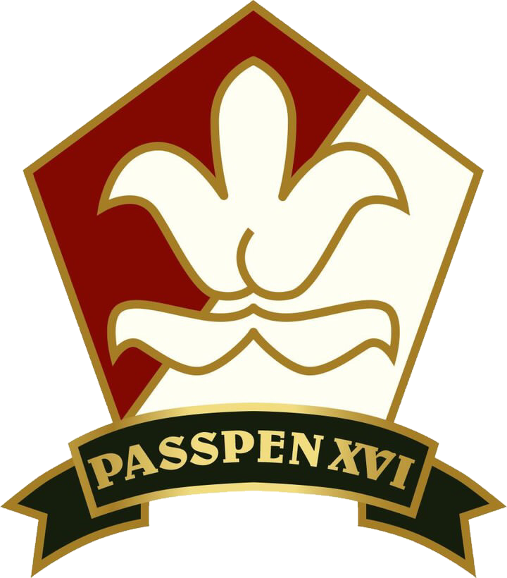 Logo PASSPENXVI