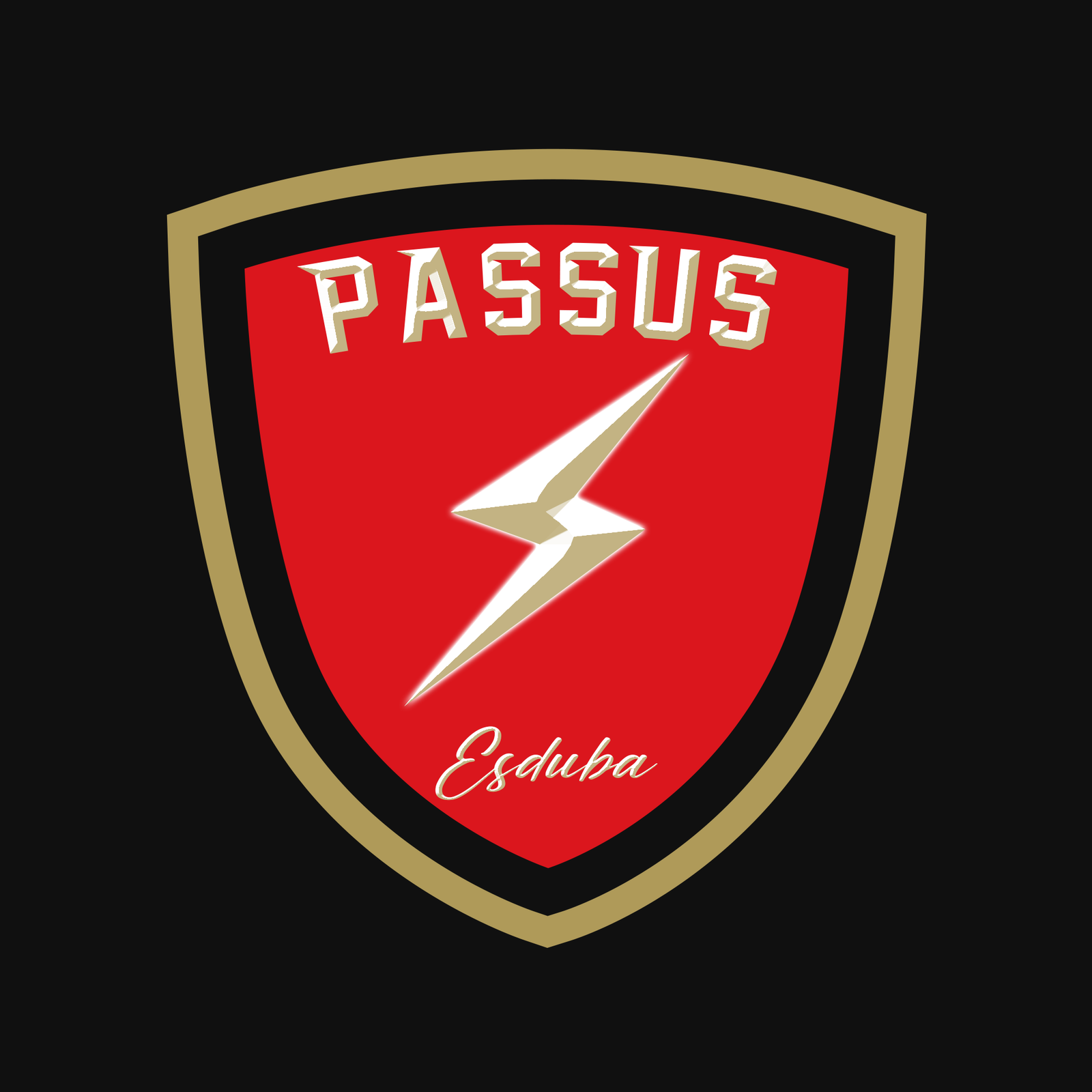 Logo PAS PETIR